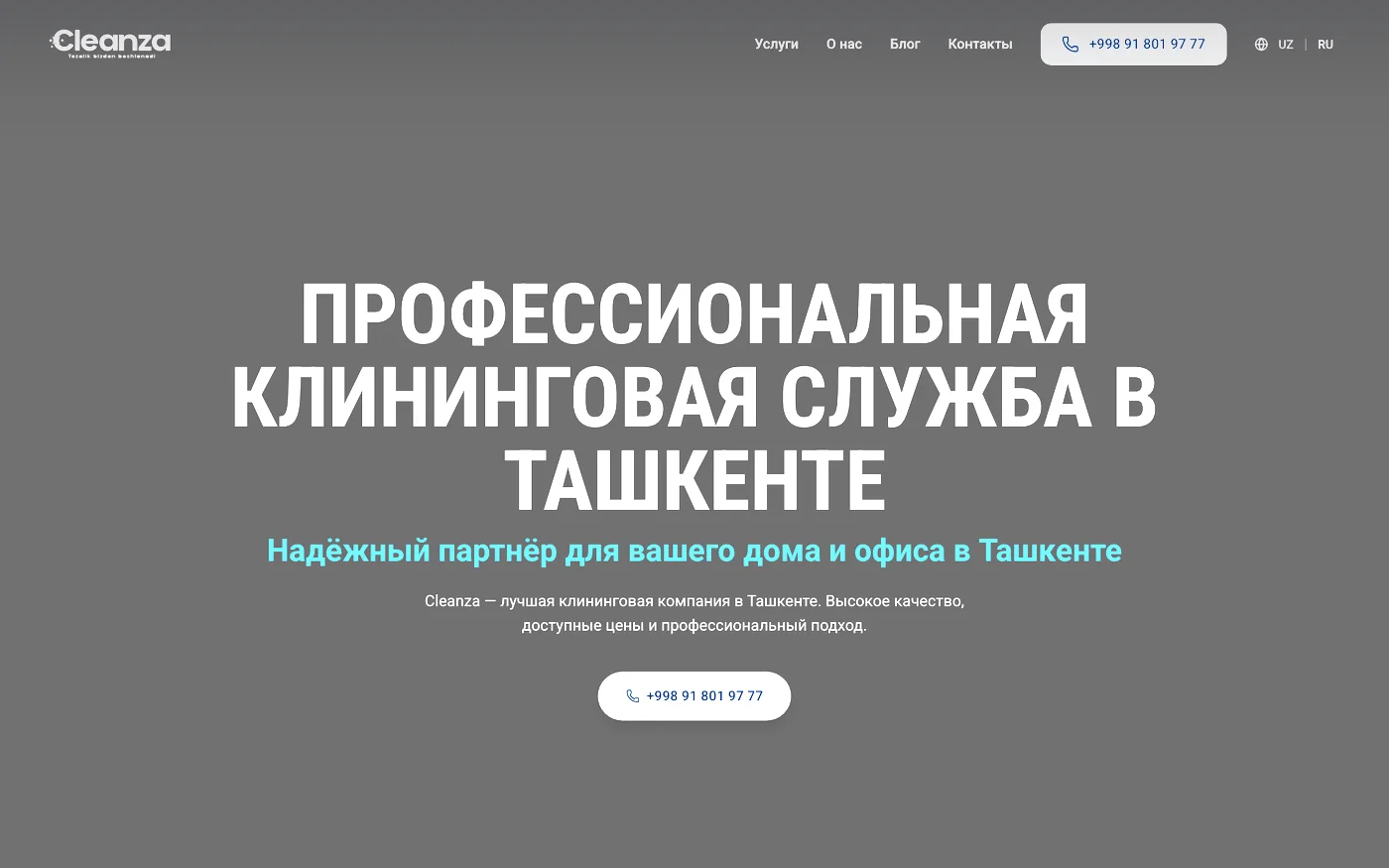 Cleanza — Landing Page
